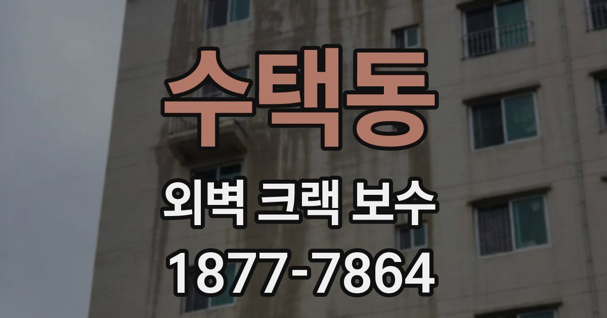 수택동 외벽 크랙 보수