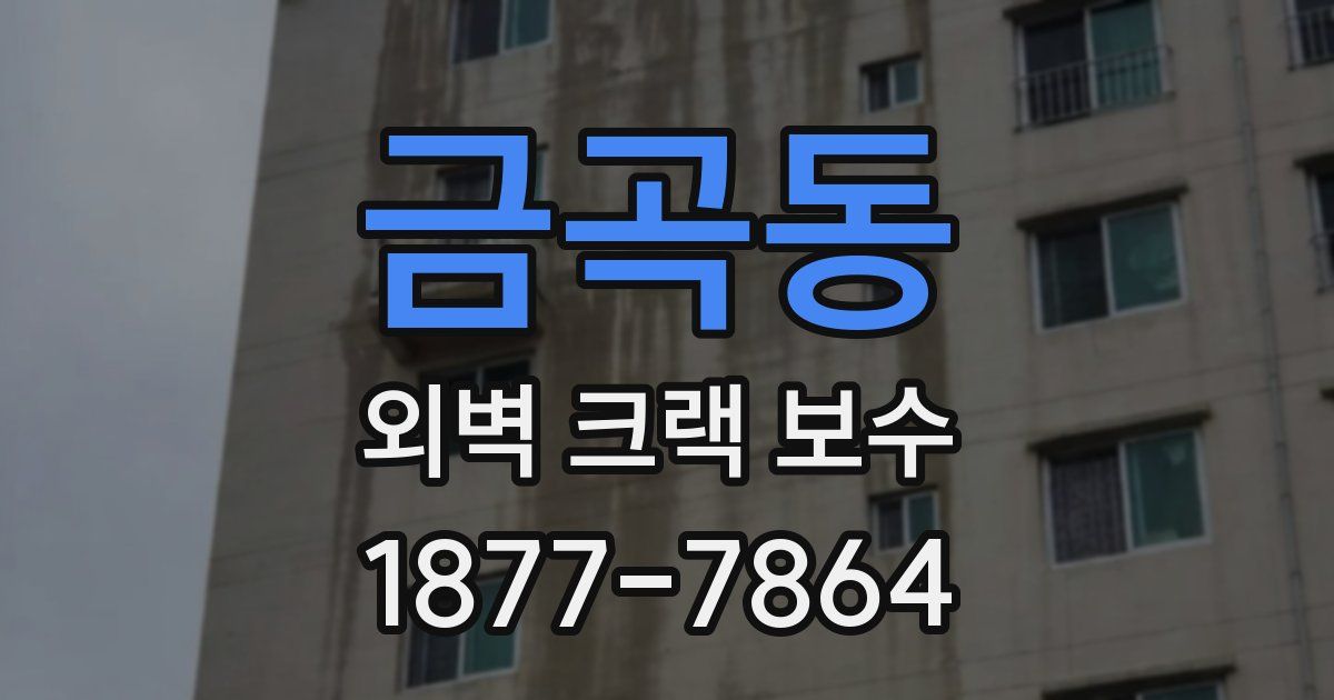 금곡동 외벽 크랙 보수