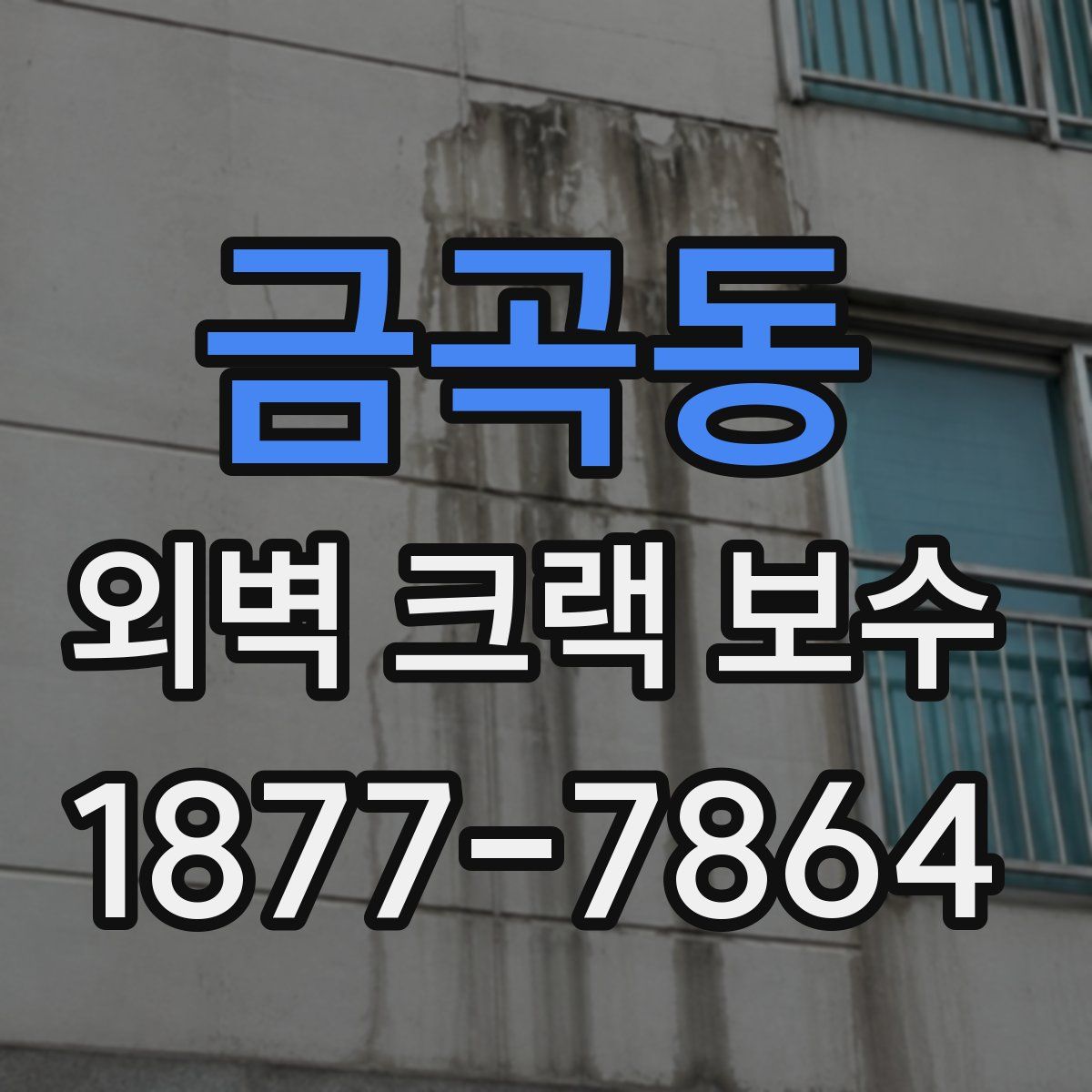 금곡동 외벽 크랙 보수