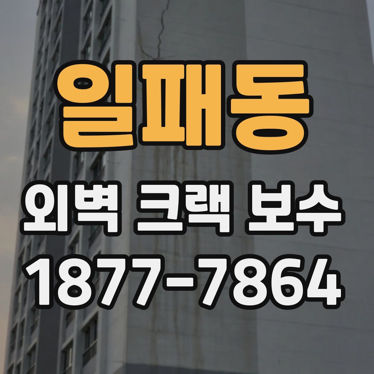 일패동 외벽 크랙 보수