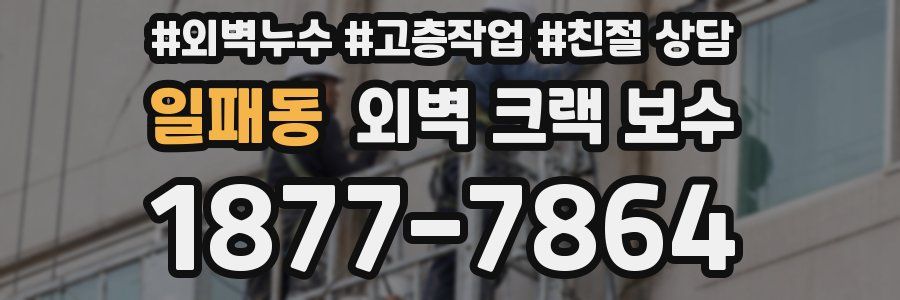 일패동 외벽 크랙 보수