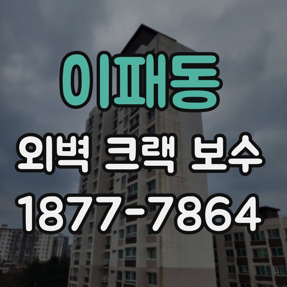 이패동 외벽 크랙 보수 공사 전 점검해야 할 균열 상태