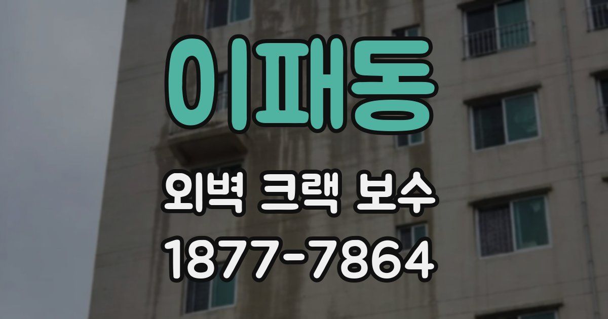 이패동 외벽 크랙 보수