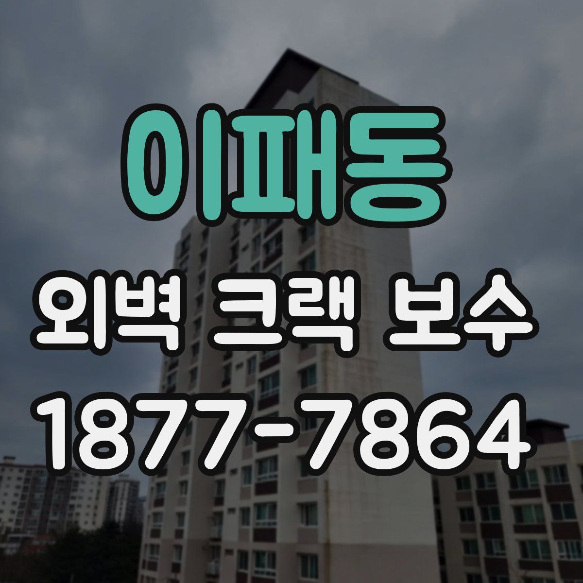 이패동 외벽 크랙 보수