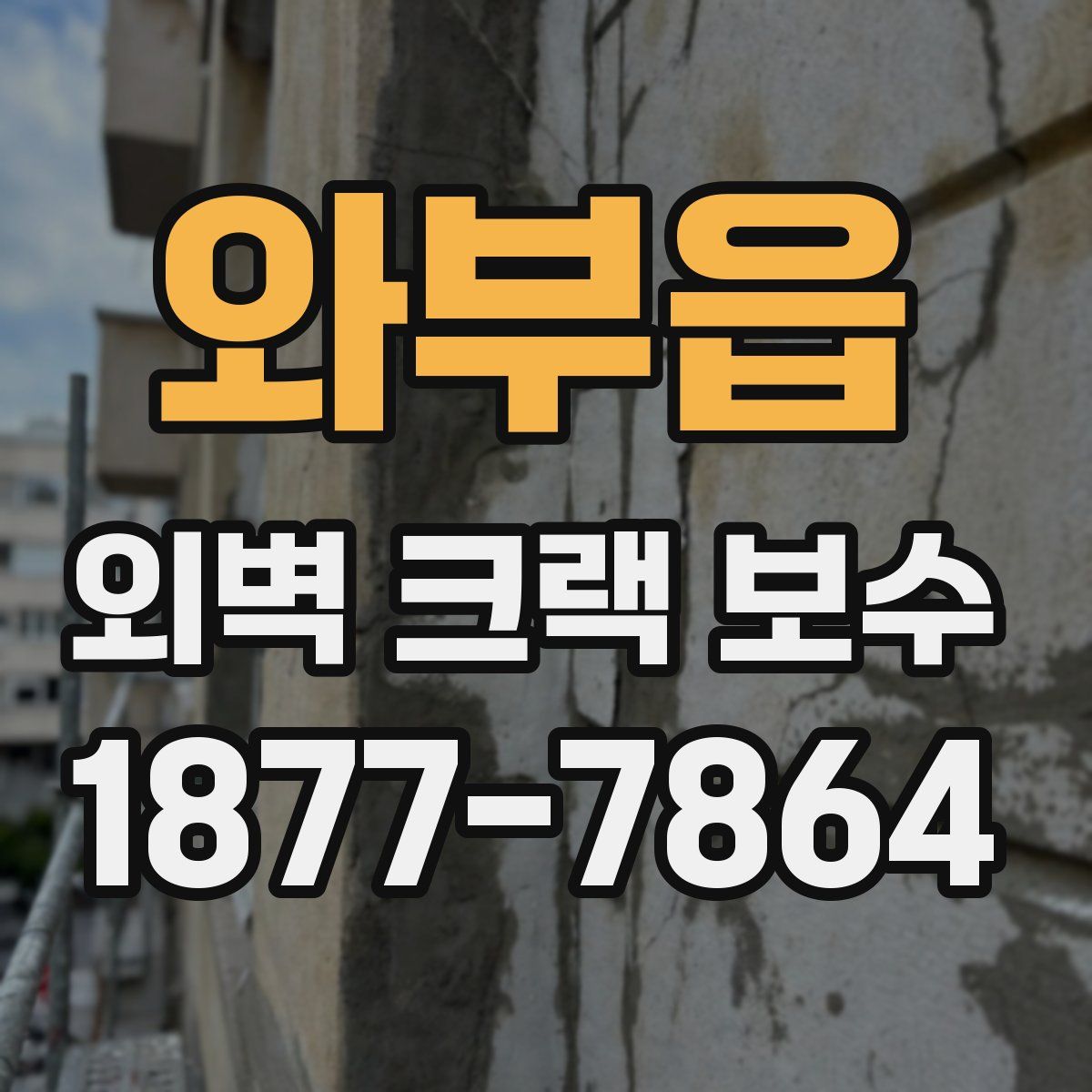 와부읍 외벽 크랙 보수