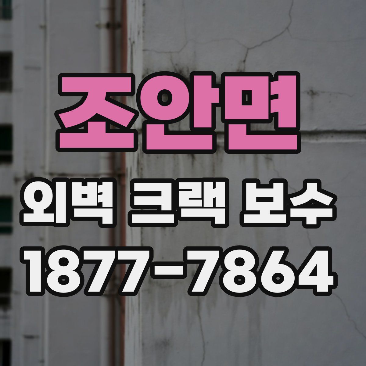 조안면 외벽 크랙 보수