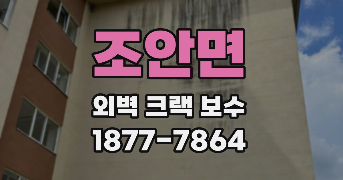 조안면 외벽 크랙 보수