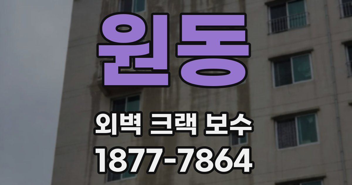 원동 외벽 크랙 보수