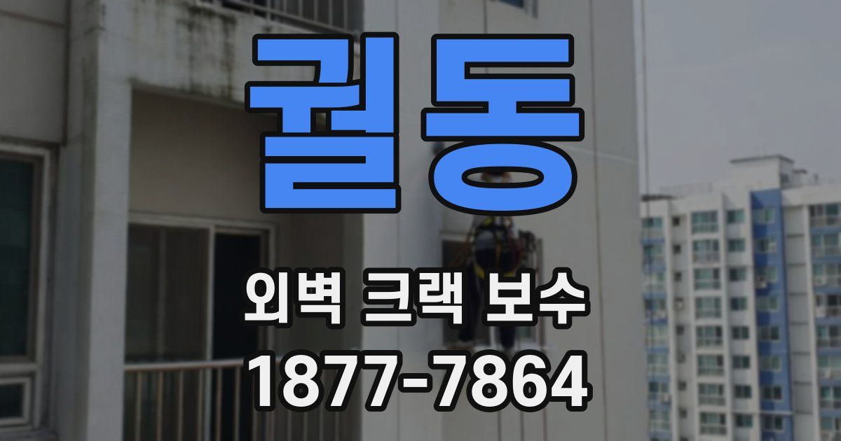 궐동 외벽 크랙 보수
