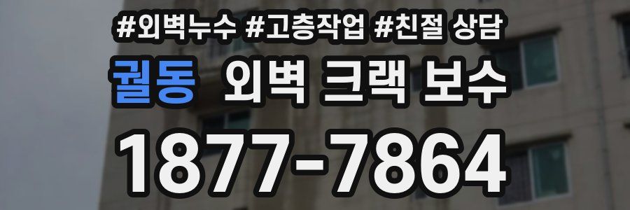 궐동 외벽 크랙 보수