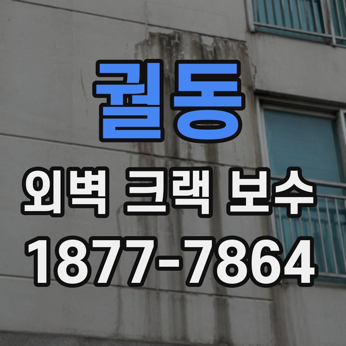 궐동 외벽 크랙 보수