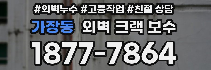 가장동 외벽 크랙 보수