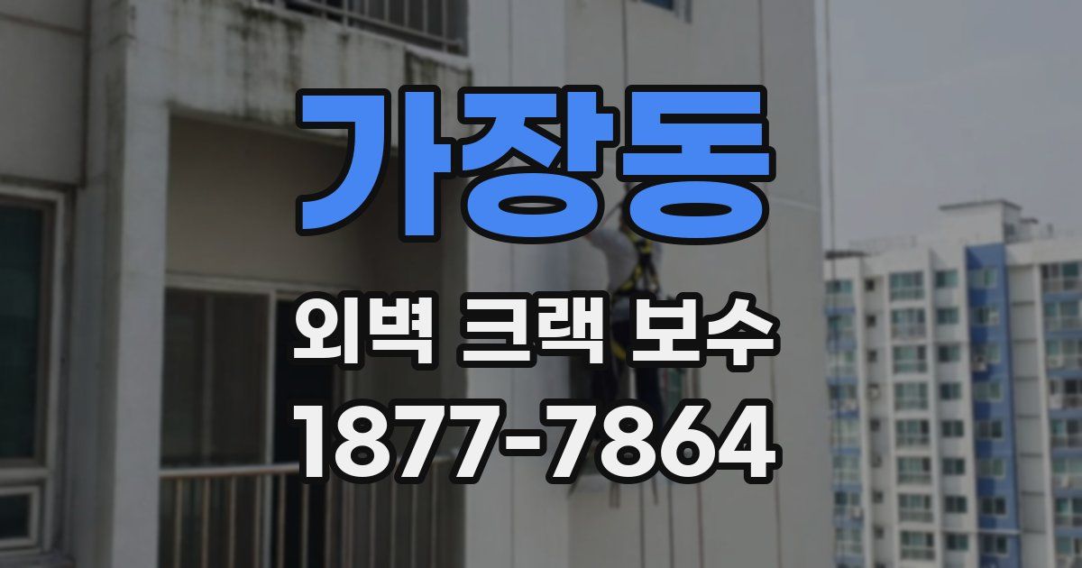 가장동 외벽 크랙 보수