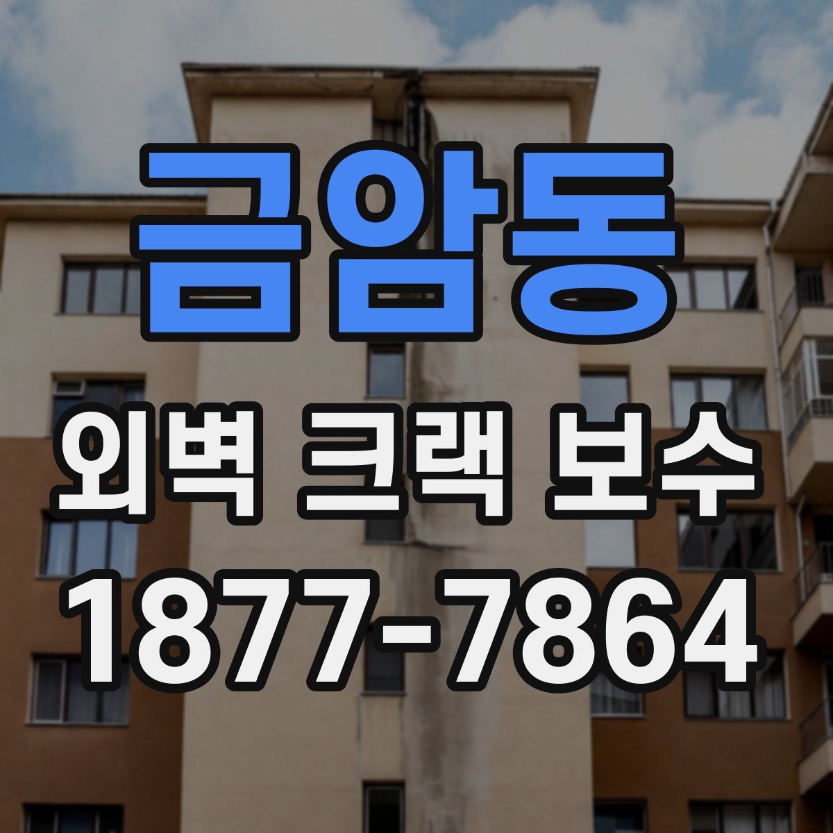 금암동 외벽 크랙 보수
