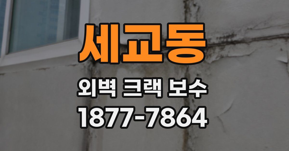 세교동 외벽 크랙 보수