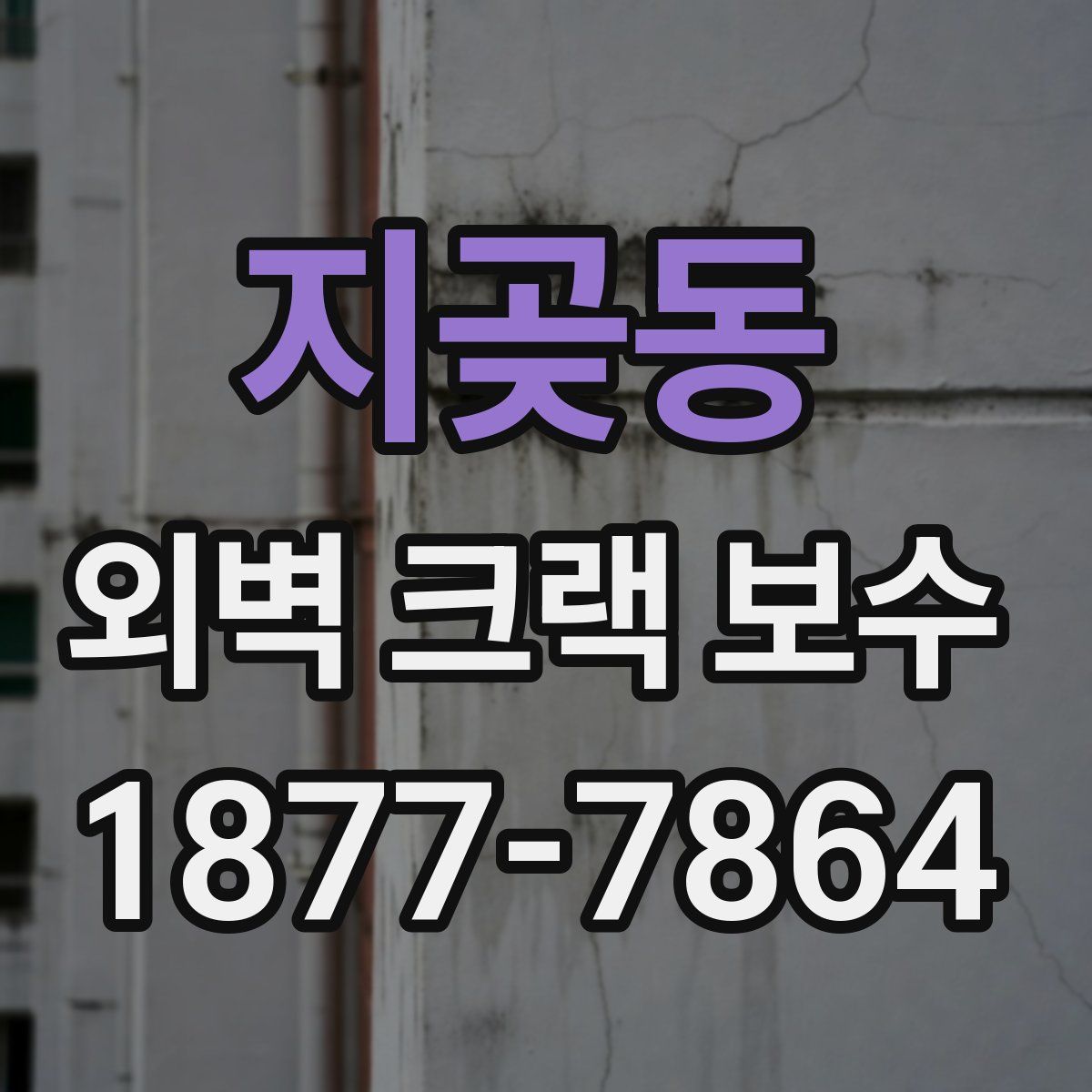 지곶동 외벽 크랙 보수