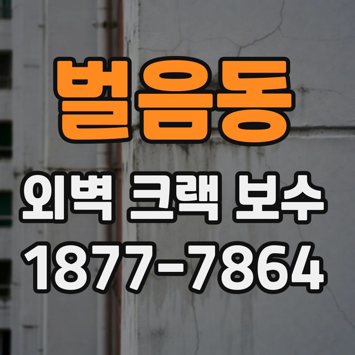 벌음동 외벽 크랙 보수