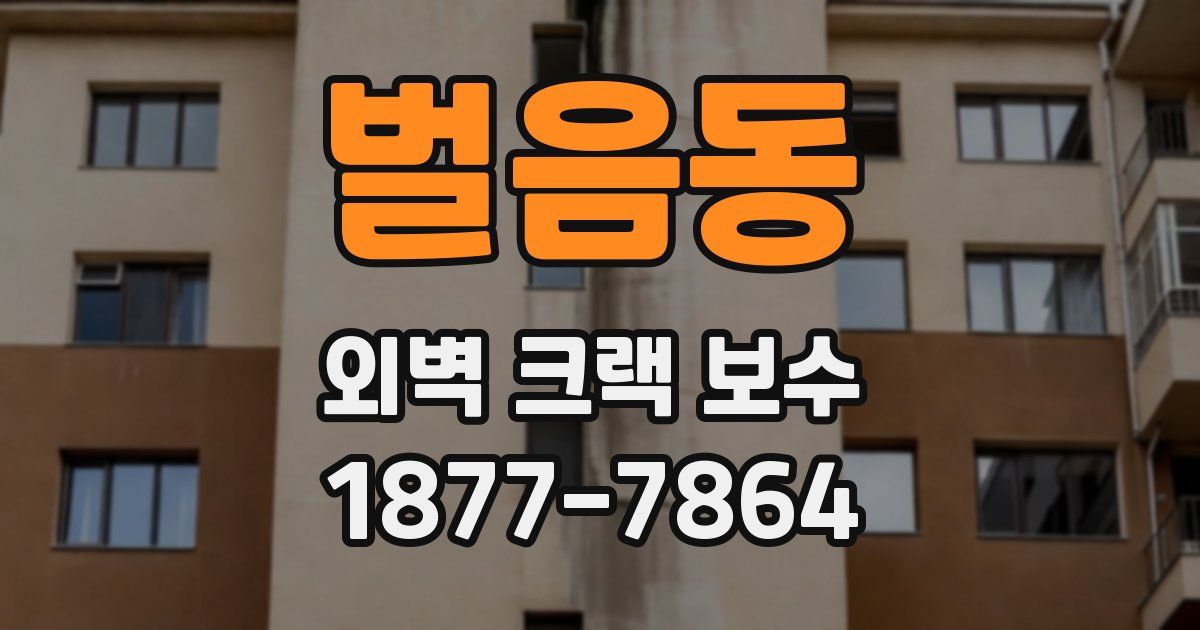 벌음동 외벽 크랙 보수