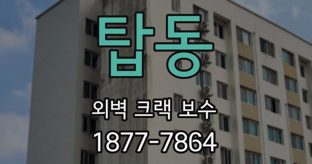 탑동 외벽 크랙 보수