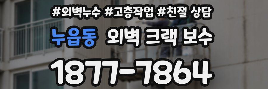 누읍동 외벽 크랙 보수
