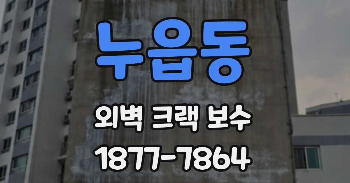 누읍동 외벽 크랙 보수