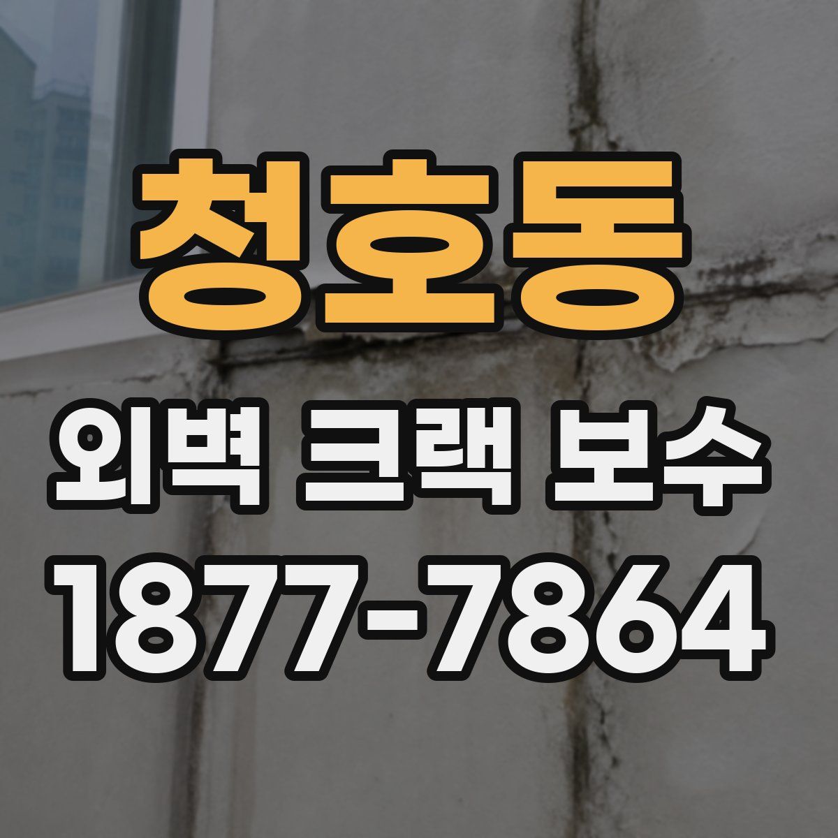 청호동 외벽 크랙 보수