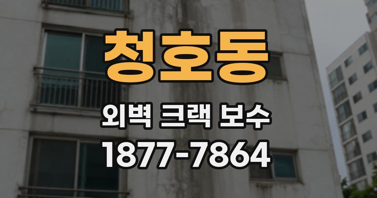 청호동 외벽 크랙 보수