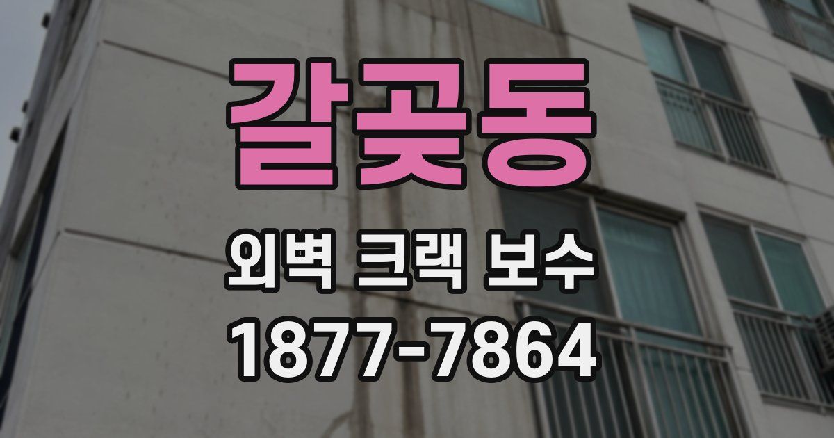 갈곶동 외벽 크랙 보수