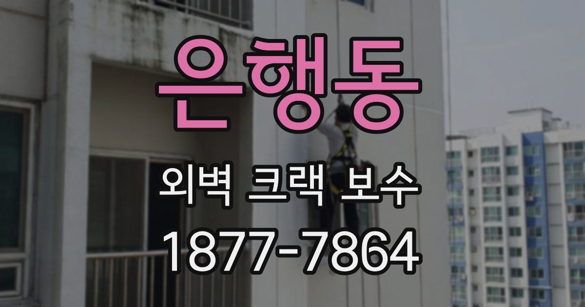 은행동 외벽 크랙 보수