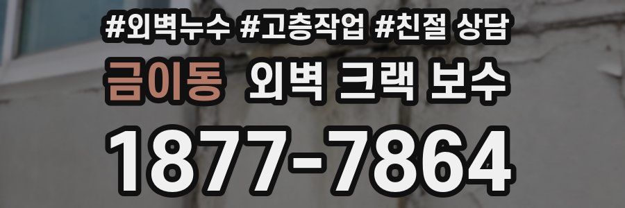금이동 외벽 크랙 보수