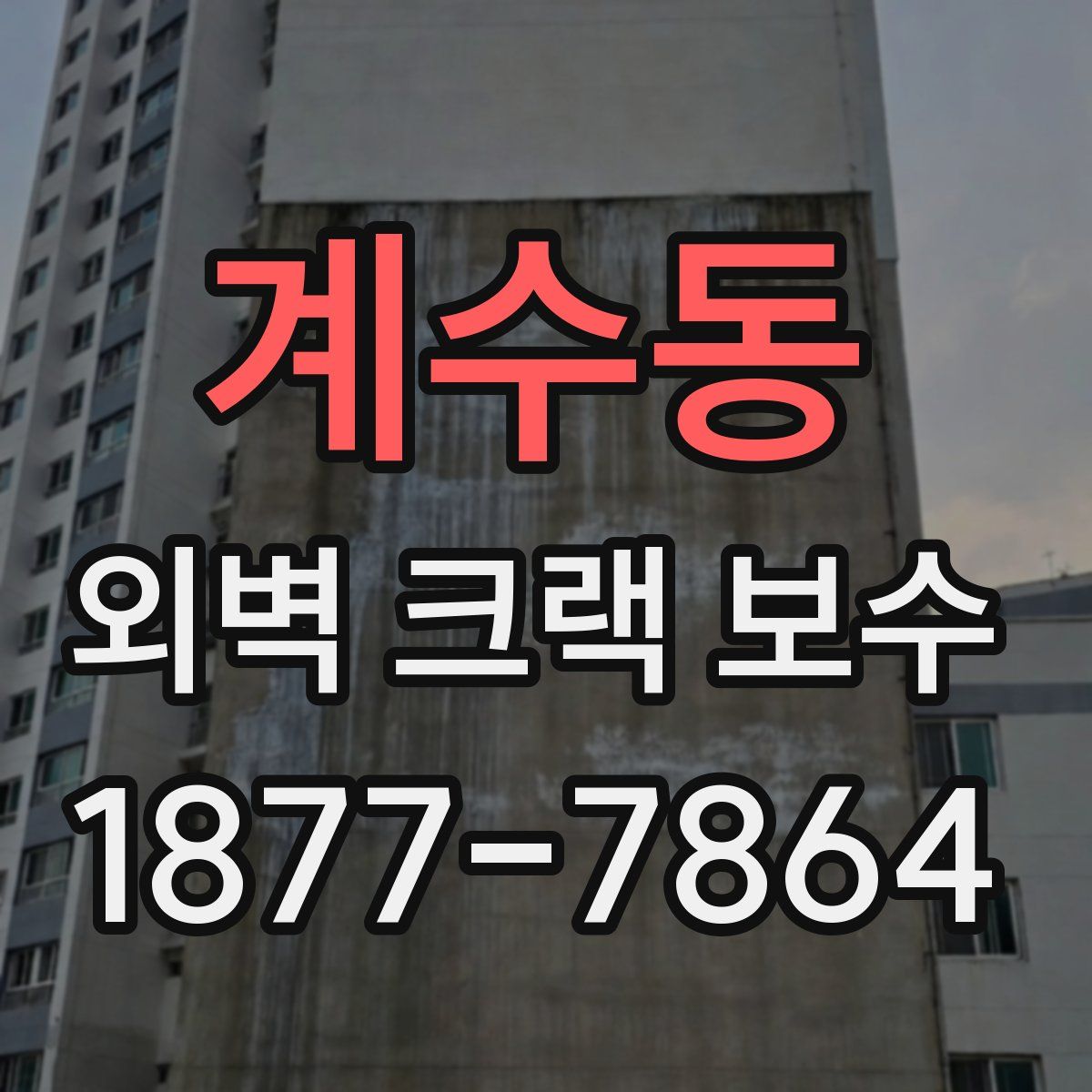 계수동 외벽 크랙 보수
