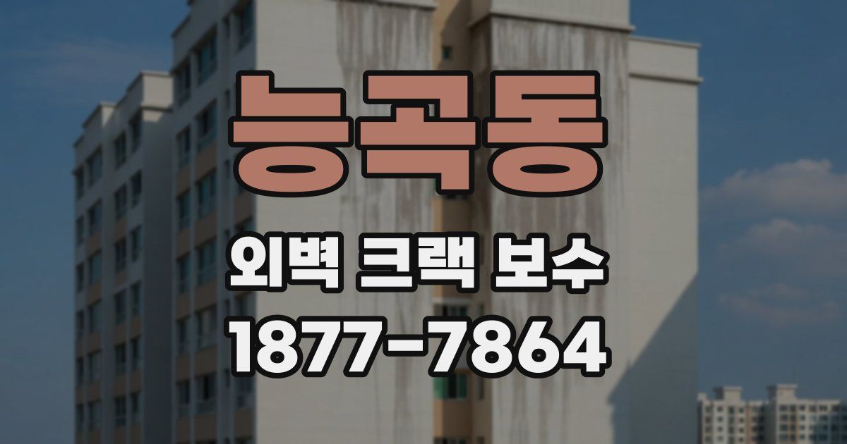 능곡동 외벽 크랙 보수