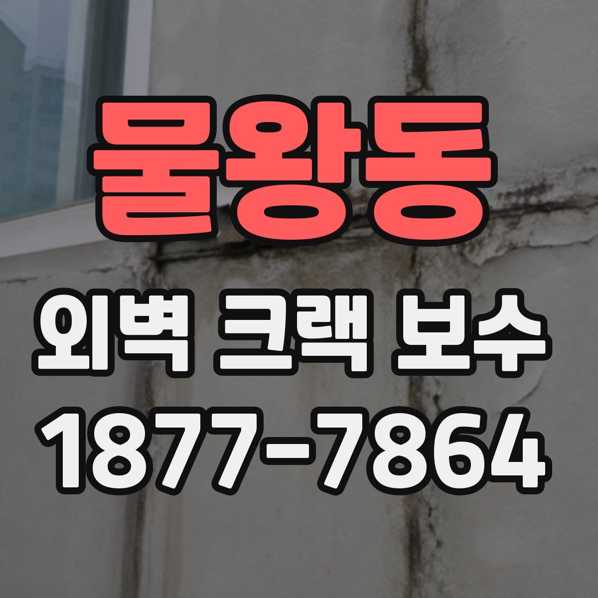물왕동 외벽 크랙 보수