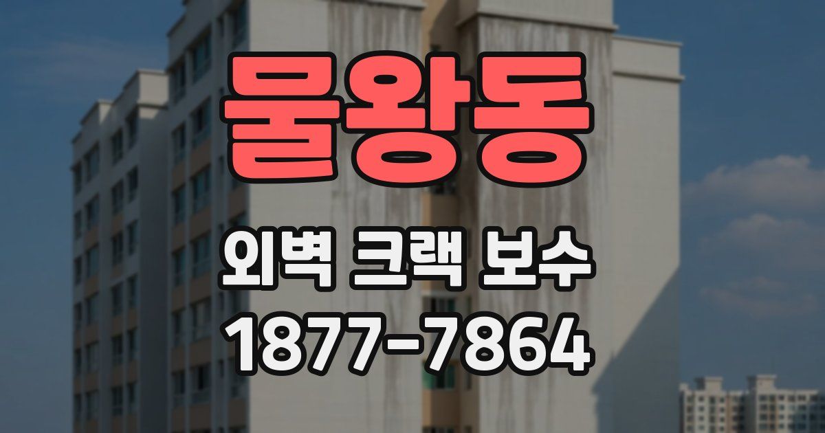 물왕동 외벽 크랙 보수