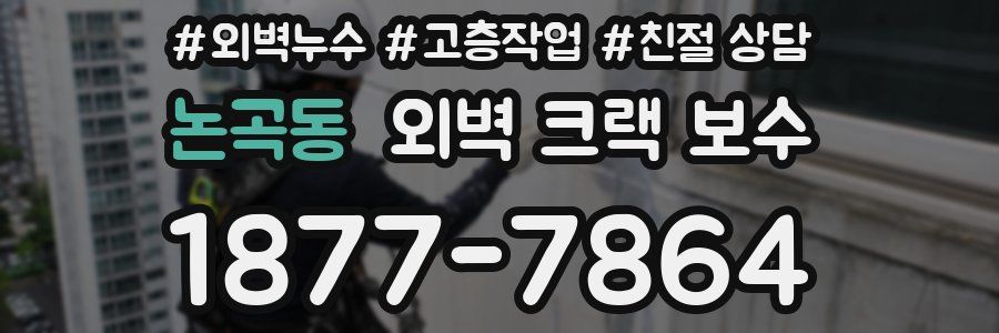 논곡동 외벽 크랙 보수