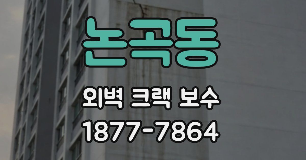 논곡동 외벽 크랙 보수