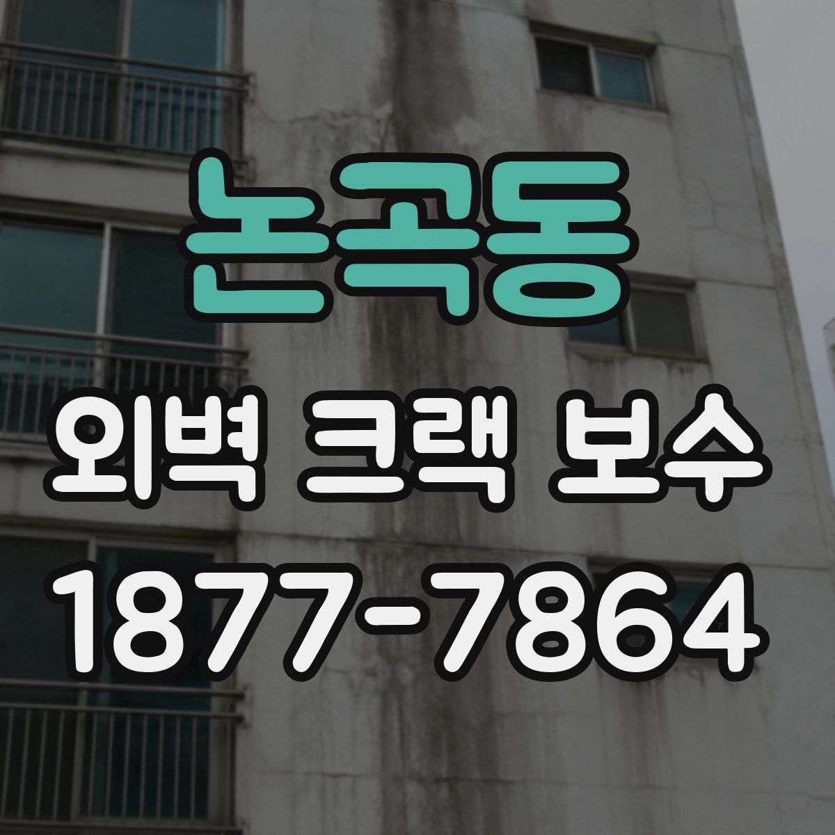 논곡동 외벽 크랙 보수