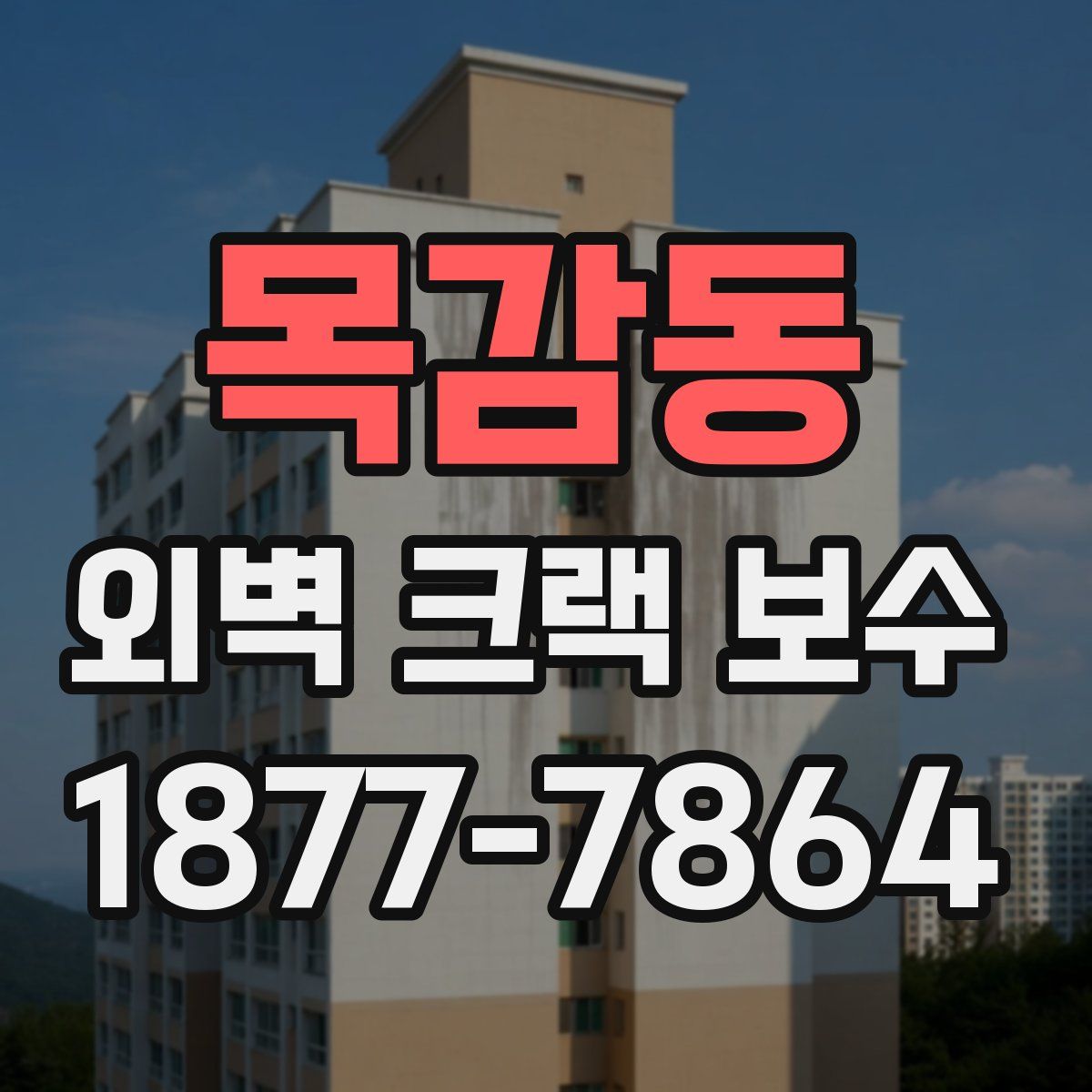 목감동 외벽 크랙 보수