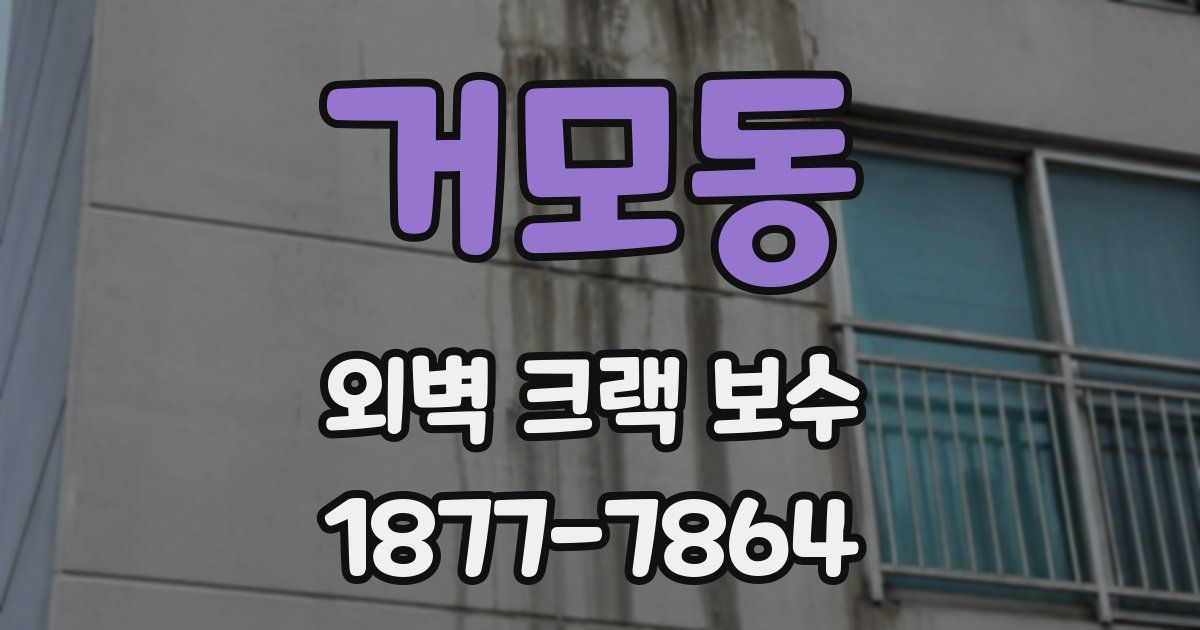 거모동 외벽 크랙 보수