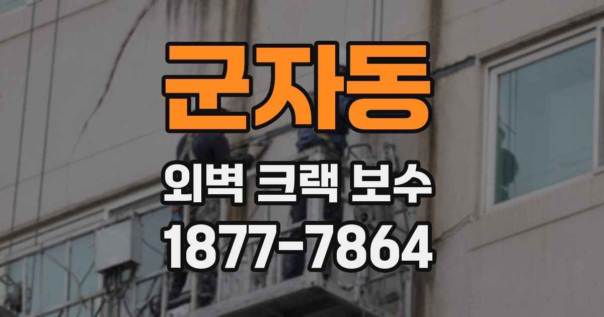군자동 외벽 크랙 보수