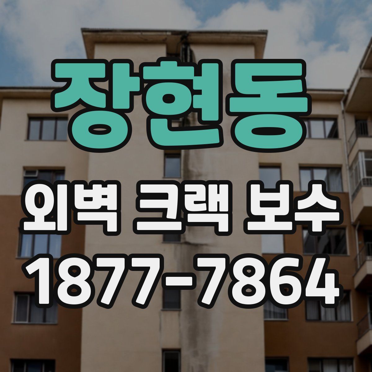 장현동 외벽 크랙 보수