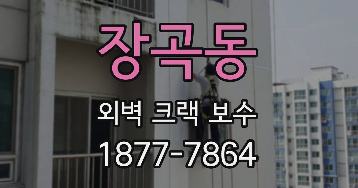 장곡동 외벽 크랙 보수