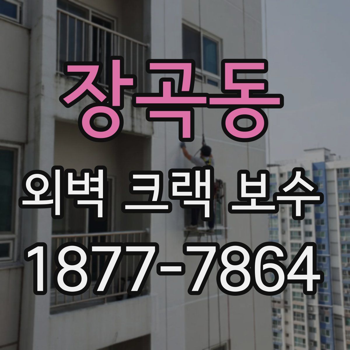 장곡동 외벽 크랙 보수