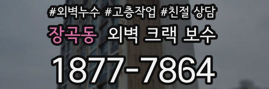 장곡동 외벽 크랙 보수