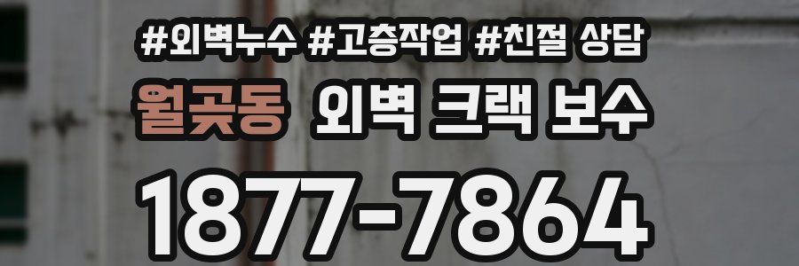 월곶동 외벽 크랙 보수