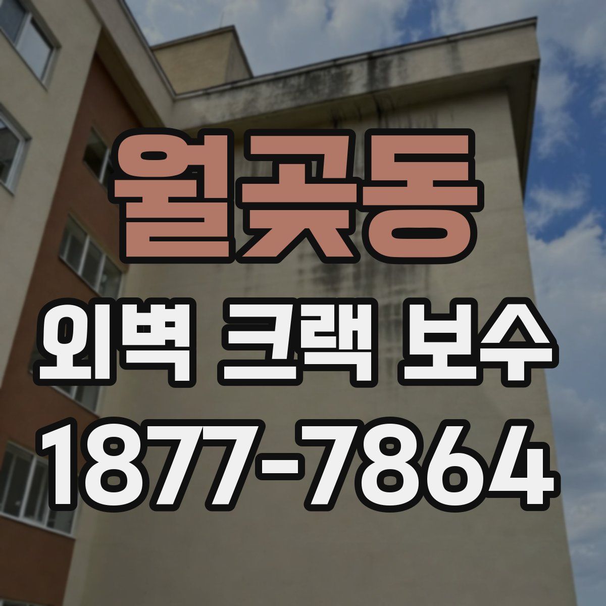 월곶동 외벽 크랙 보수