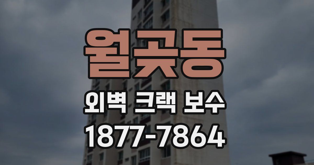 월곶동 외벽 크랙 보수
