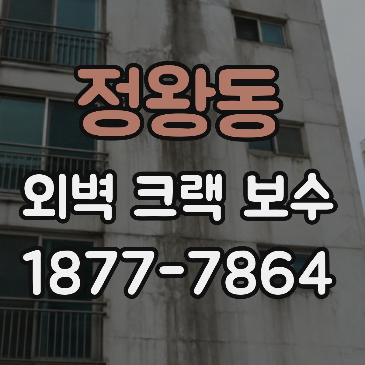 정왕동 외벽 크랙 보수
