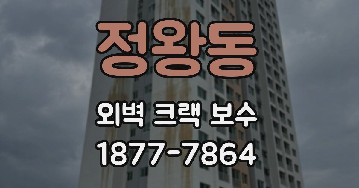 정왕동 외벽 크랙 보수
