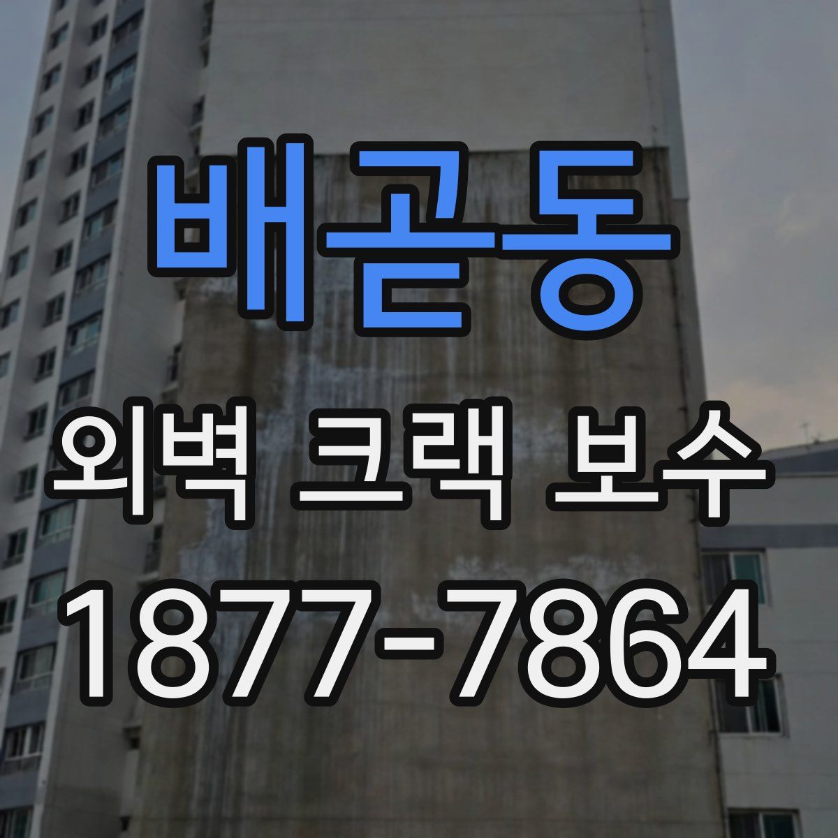 배곧동 외벽 크랙 보수